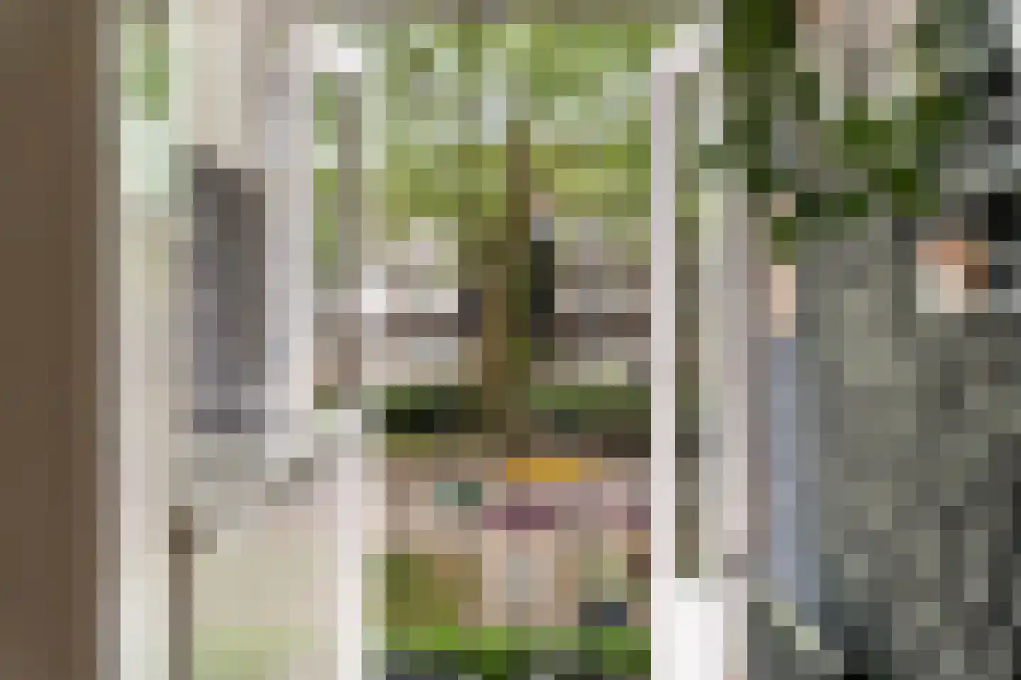 Baljuwplein 62 Rotterdam thumbnail 19