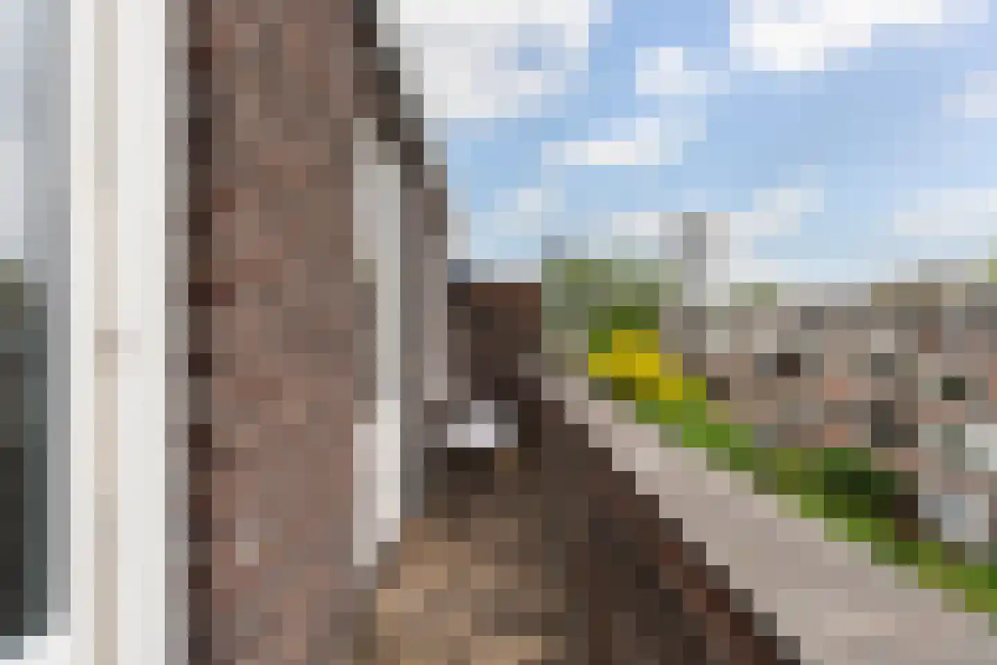 Baljuwplein 62 Rotterdam thumbnail 21