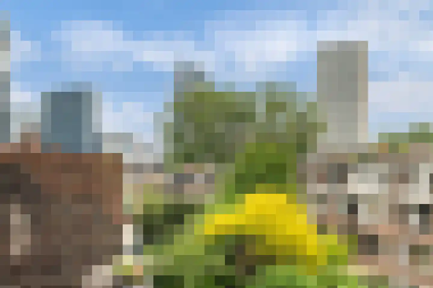 Baljuwplein 62 Rotterdam thumbnail 24