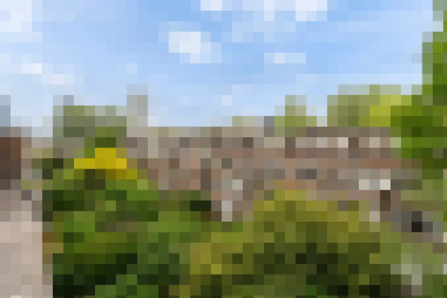 Baljuwplein 62 Rotterdam thumbnail 25