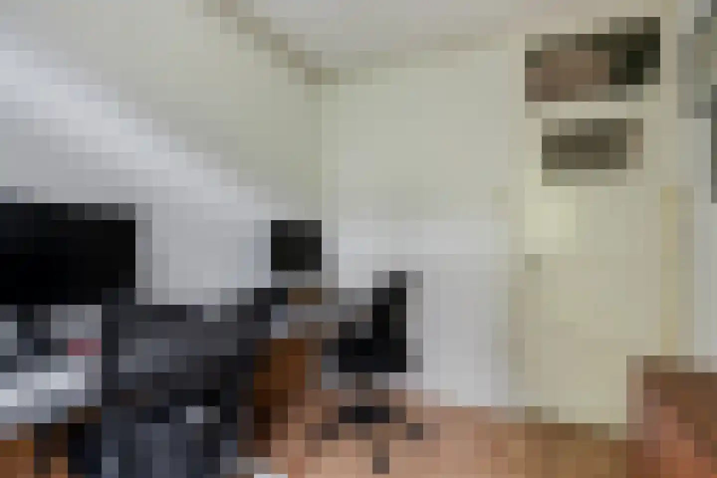 Baljuwplein 62 Rotterdam thumbnail 35