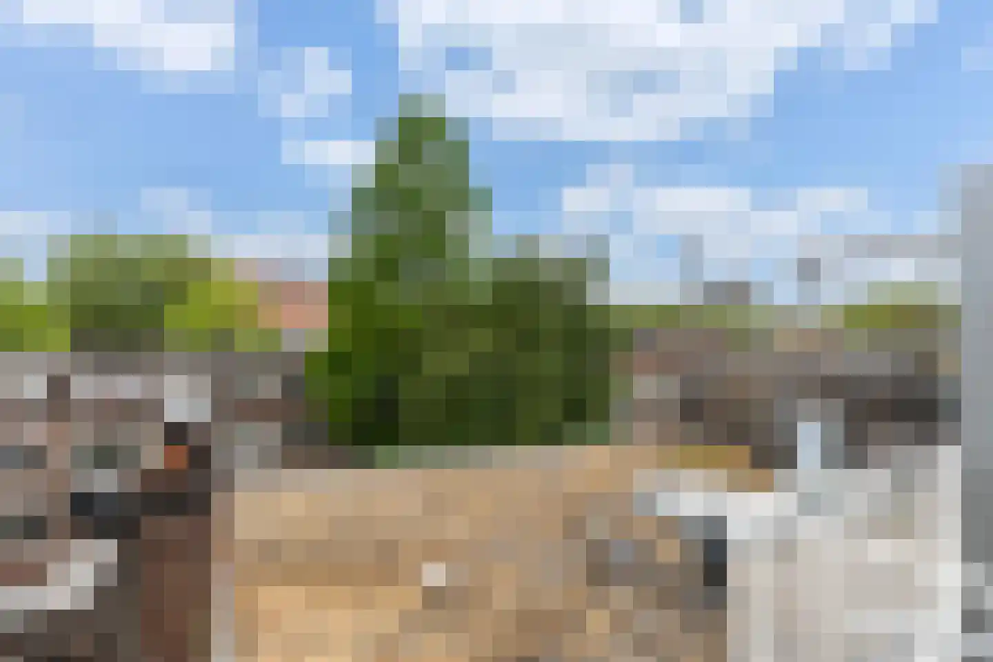 Baljuwplein 62 Rotterdam thumbnail 5