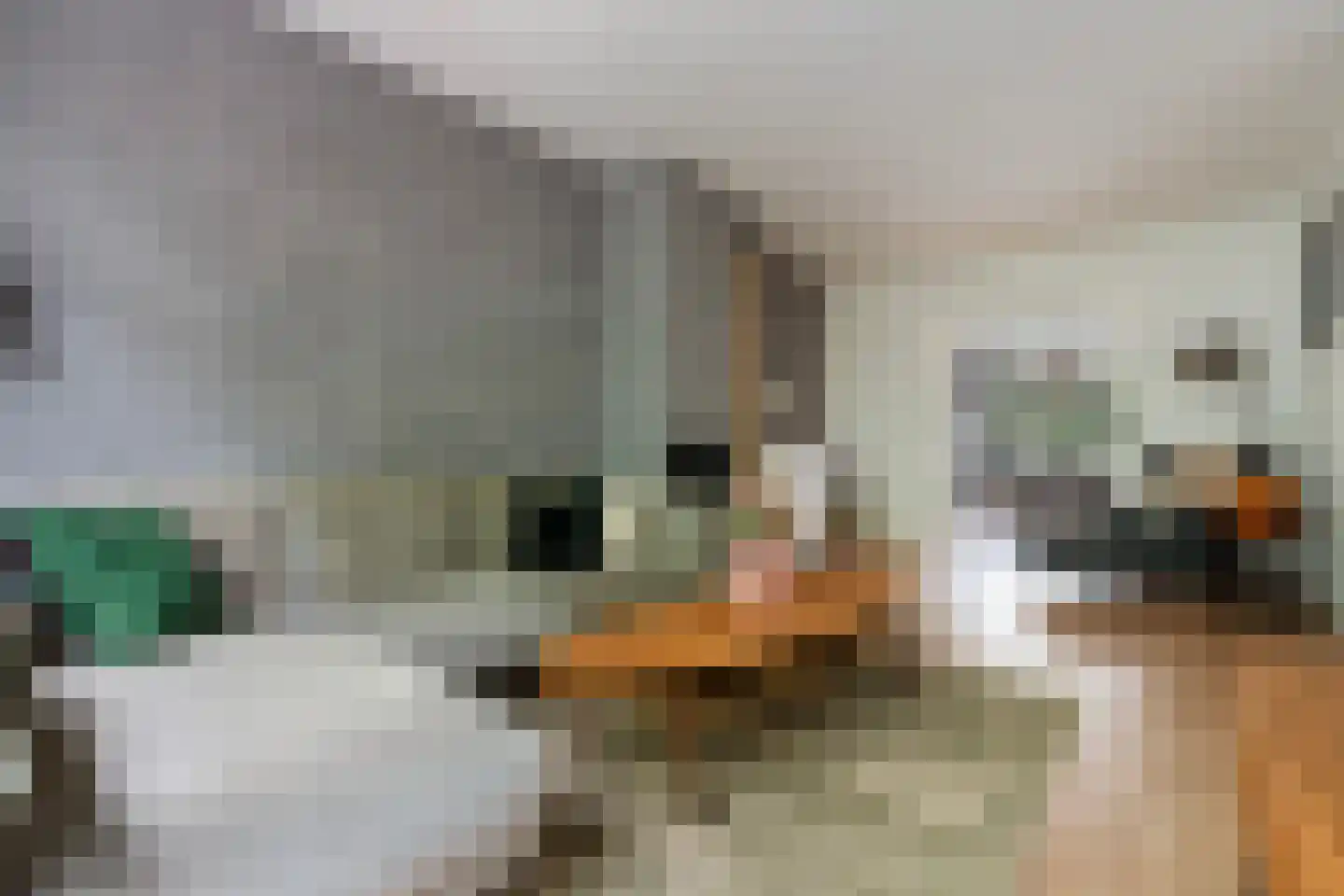 Baljuwplein 62 Rotterdam thumbnail 6