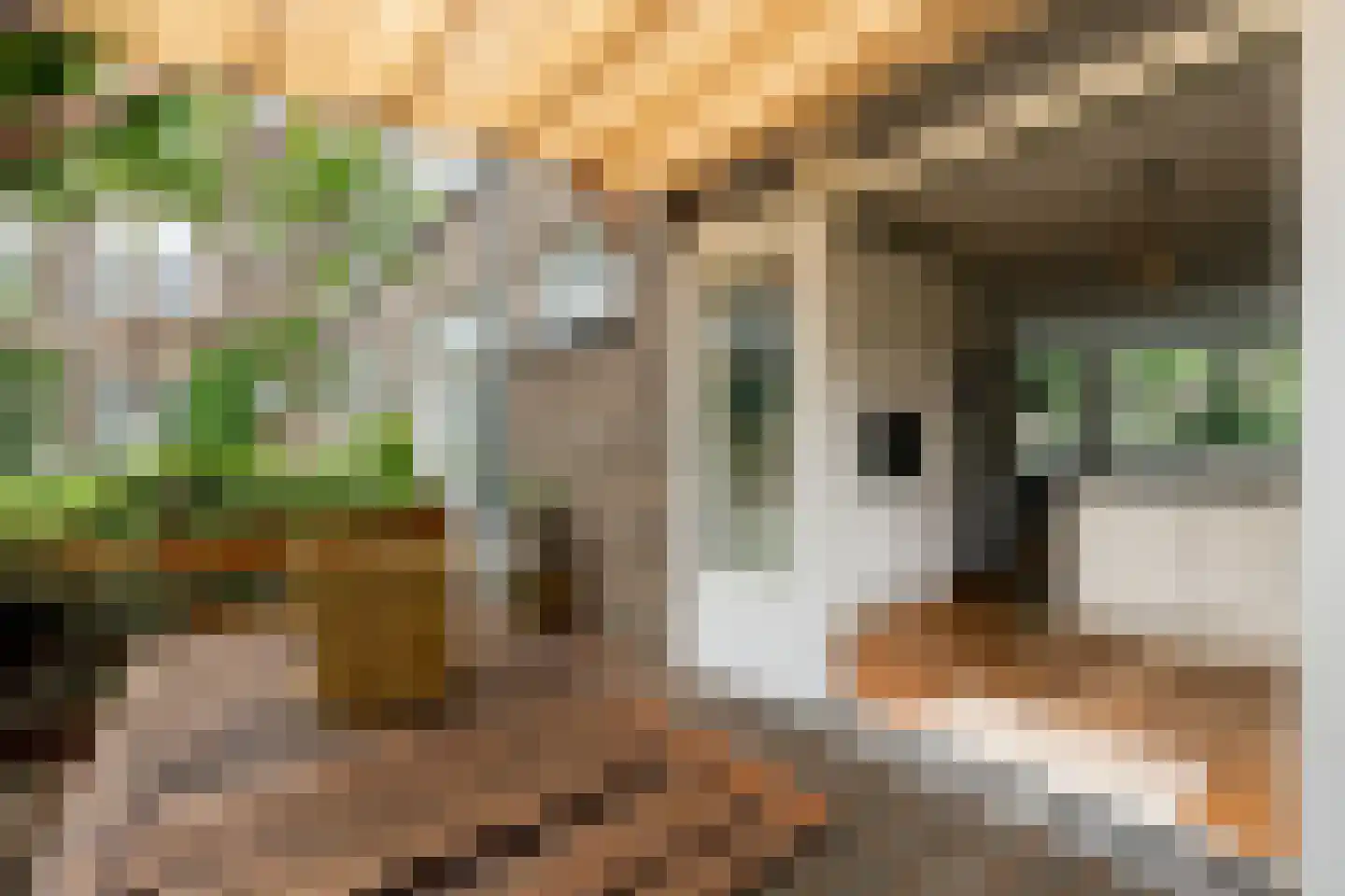 Baljuwplein 7 Rotterdam thumbnail 24