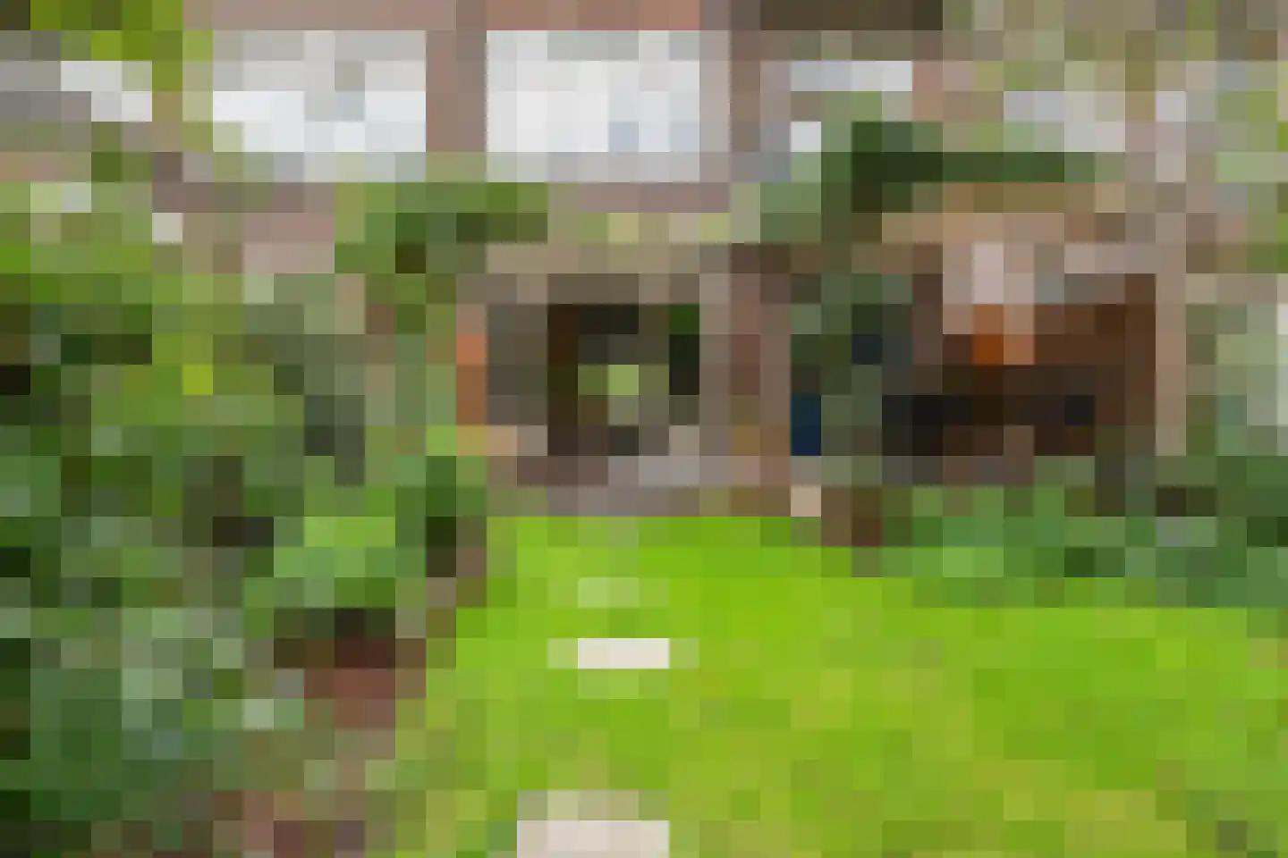 Baljuwplein 75 Rotterdam thumbnail 28