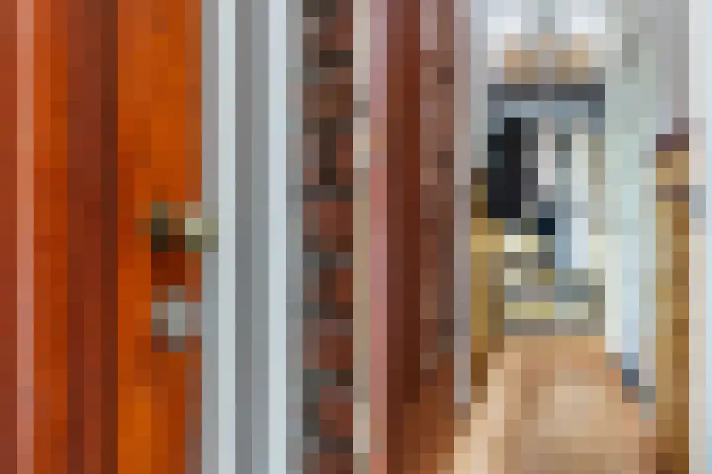 Baljuwplein 75 Rotterdam thumbnail 53