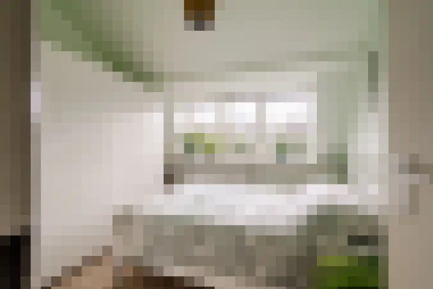 Baljuwslaan 1 A Haarlem thumbnail 19