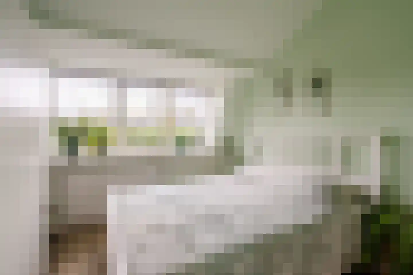 Baljuwslaan 1 A Haarlem thumbnail 20