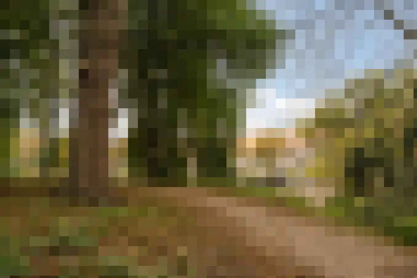 Baljuwslaan 1 A Haarlem thumbnail 30