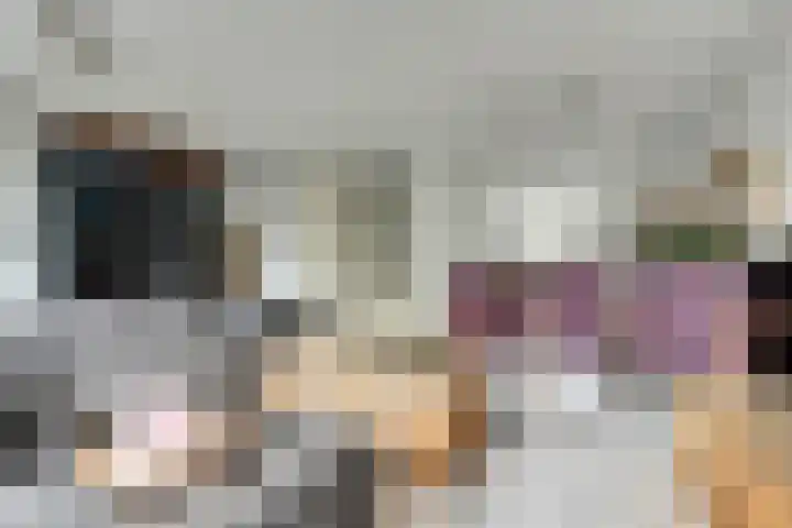 Baljuwslag 12 Gouda thumbnail 10