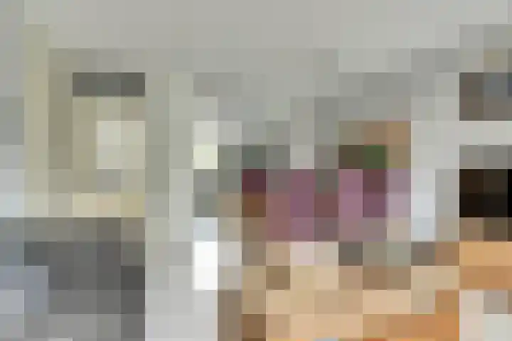 Baljuwslag 12 Gouda thumbnail 11