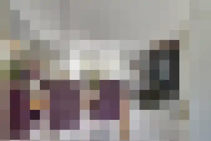Baljuwslag 12 Gouda thumbnail 12