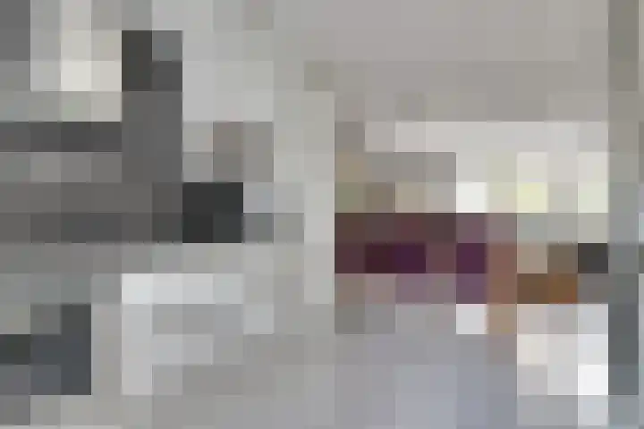 Baljuwslag 12 Gouda thumbnail 13