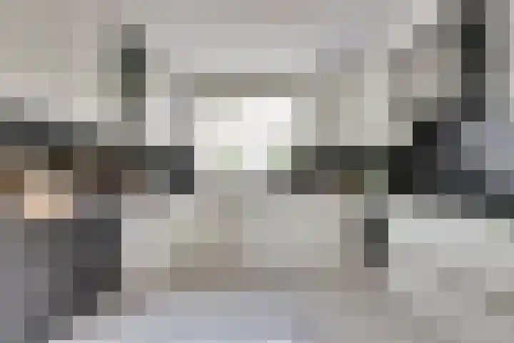 Baljuwslag 12 Gouda thumbnail 14