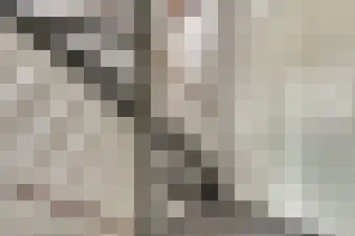 Baljuwslag 12 Gouda thumbnail 16