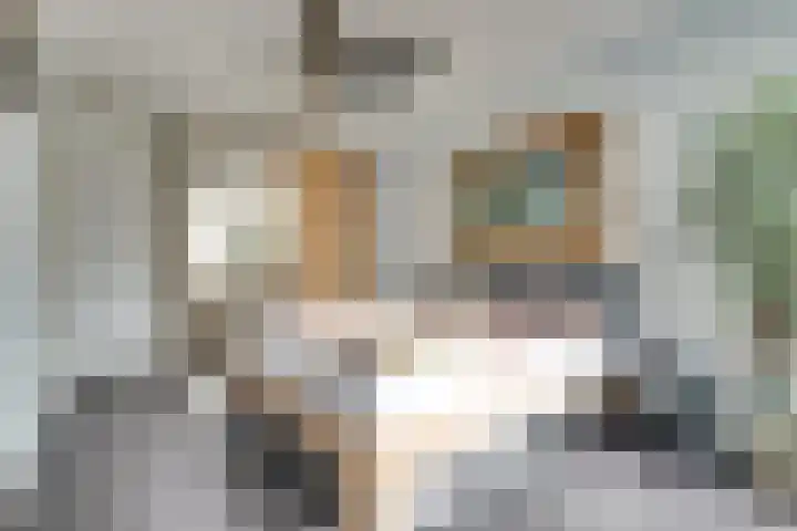Baljuwslag 12 Gouda thumbnail 17