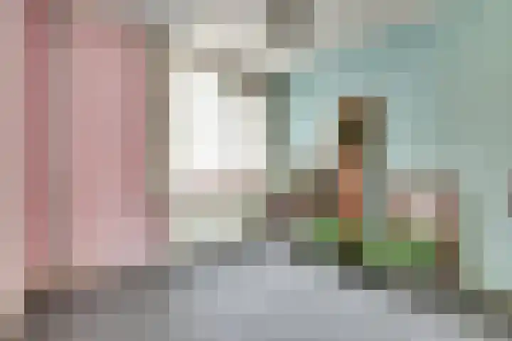 Baljuwslag 12 Gouda thumbnail 19