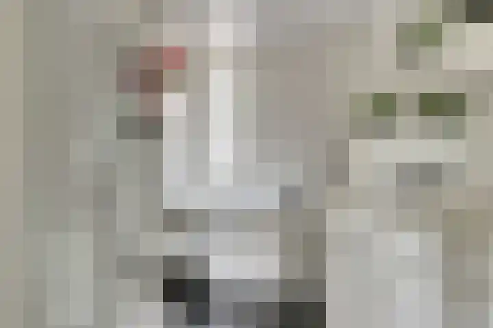 Baljuwslag 12 Gouda thumbnail 21