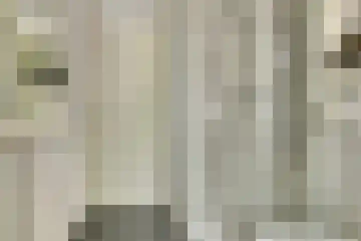 Baljuwslag 12 Gouda thumbnail 22