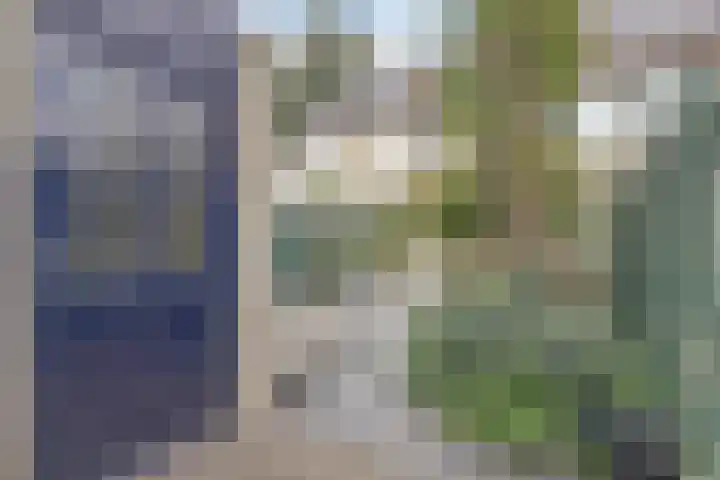 Baljuwslag 12 Gouda thumbnail 30