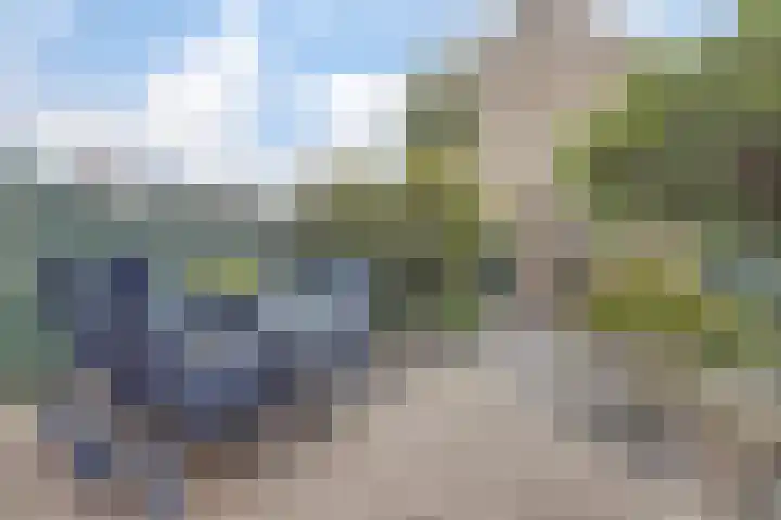 Baljuwslag 12 Gouda thumbnail 31