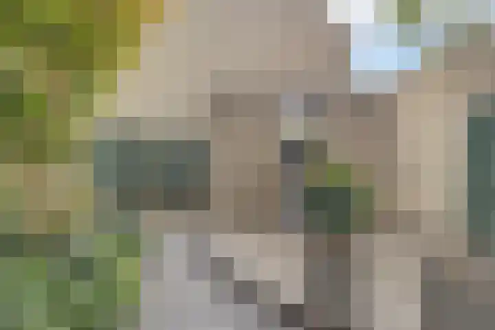 Baljuwslag 12 Gouda thumbnail 32