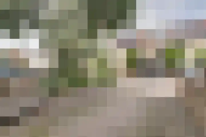 Baljuwslag 12 Gouda thumbnail 34