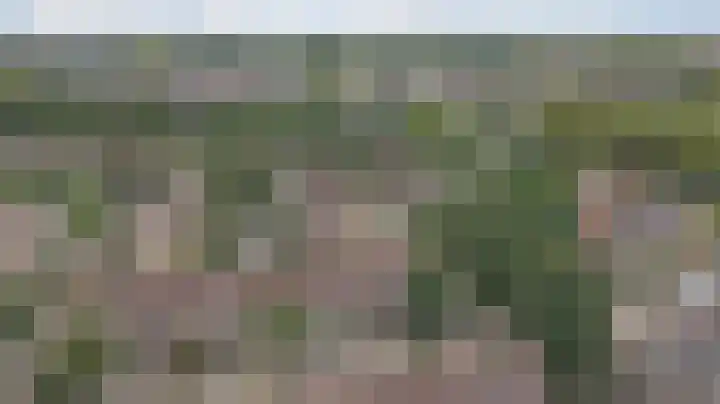 Baljuwslag 12 Gouda thumbnail 38