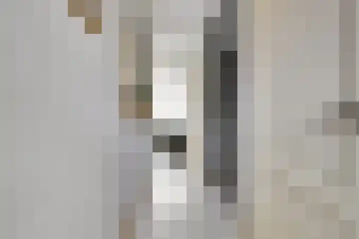 Baljuwslag 12 Gouda thumbnail 8