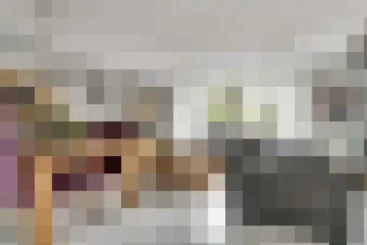 Baljuwslag 12 Gouda thumbnail 9