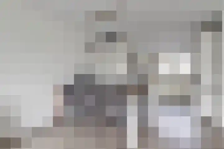 Baljuwslag 14 Gouda thumbnail 10