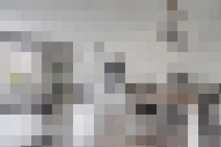 Baljuwslag 14 Gouda thumbnail 11