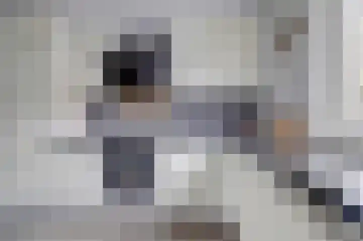 Baljuwslag 14 Gouda thumbnail 13