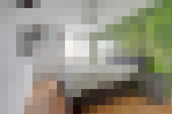 Baljuwslag 14 Gouda thumbnail 15