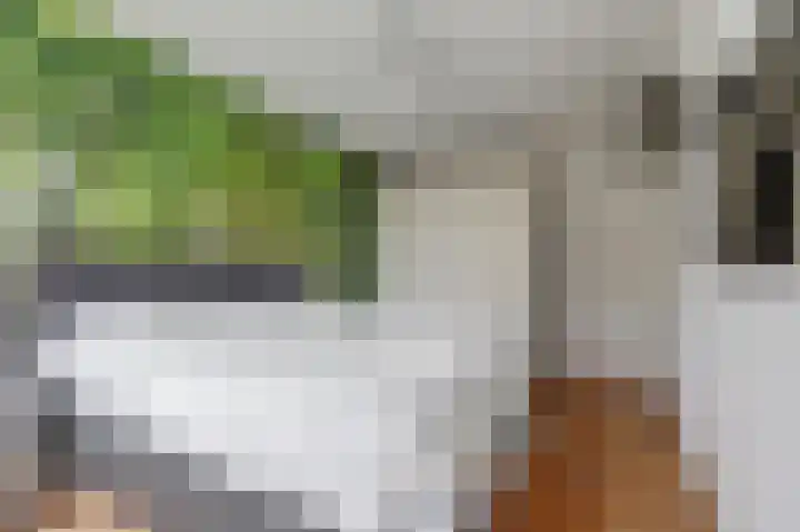 Baljuwslag 14 Gouda thumbnail 16
