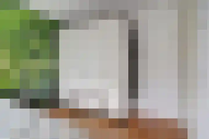 Baljuwslag 14 Gouda thumbnail 17