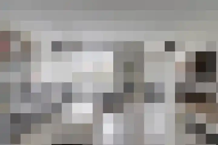 Baljuwslag 14 Gouda thumbnail 7