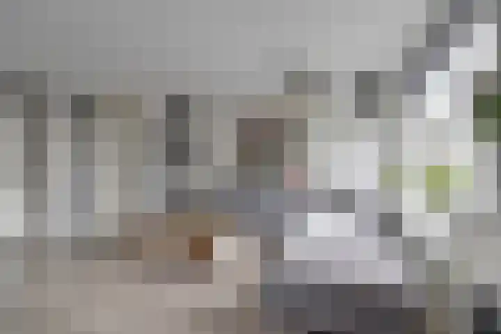 Baljuwslag 14 Gouda thumbnail 8