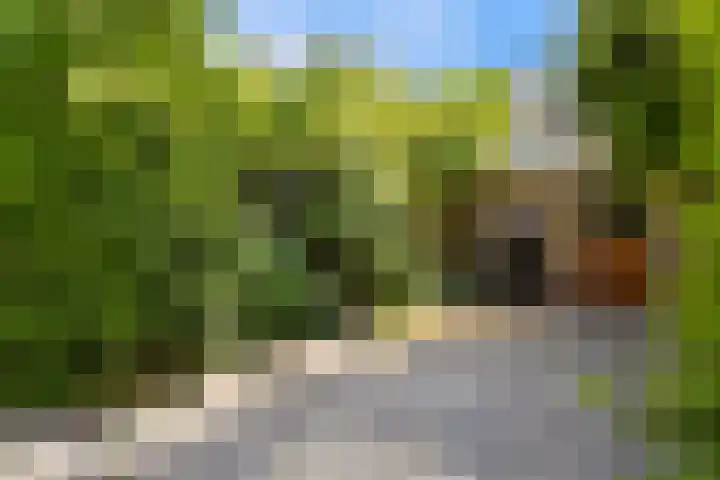 Baljuwstraat 11 Leiderdorp thumbnail 8