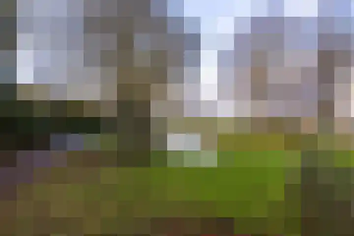 Baljuwstraat 16 Alphen aan den Rijn thumbnail 21