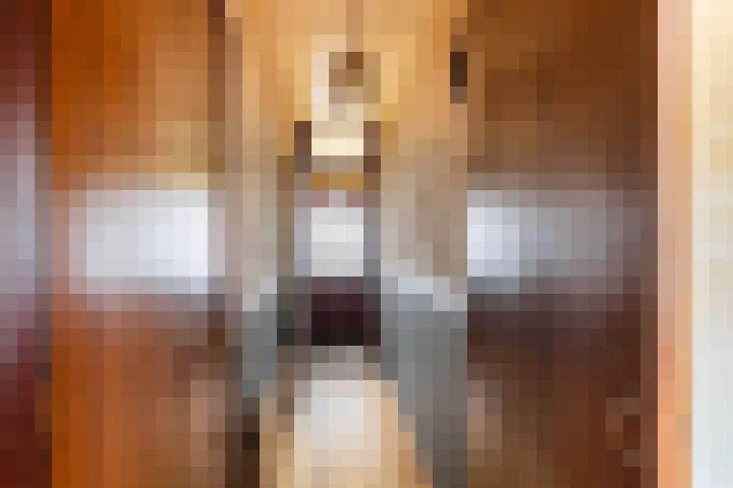 Baljuwstraat 16 Vlaardingen thumbnail 6