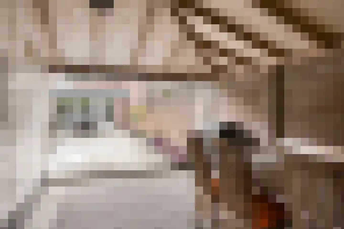 Baljuwstraat 196 Oss thumbnail 23