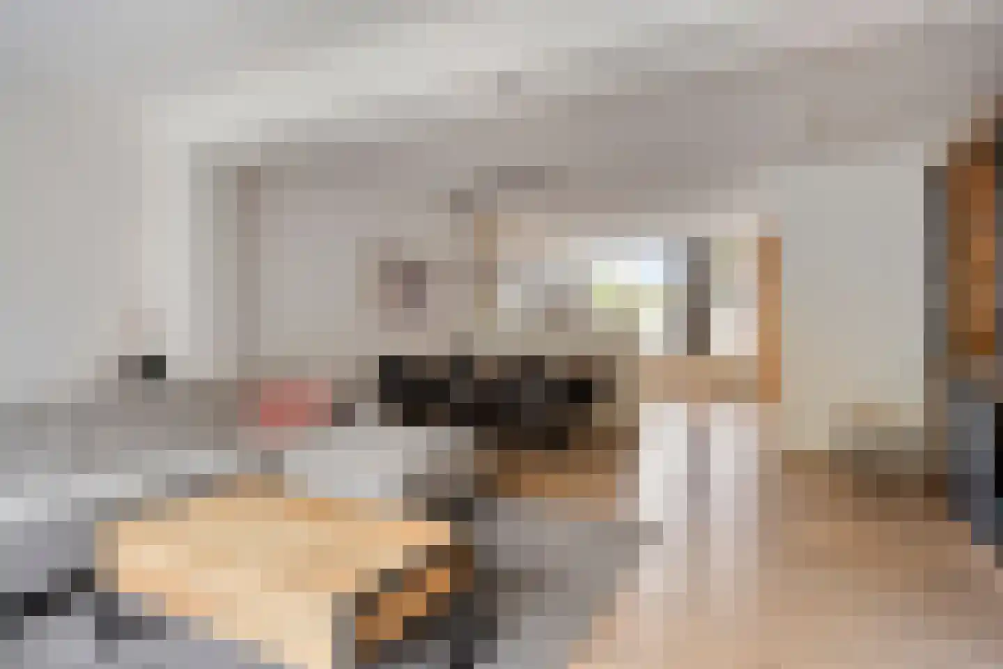 Baljuwstraat 196 Oss thumbnail 6