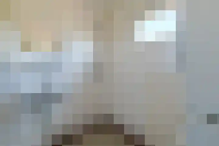 Baljuwstraat 30 Ter Aar thumbnail 22