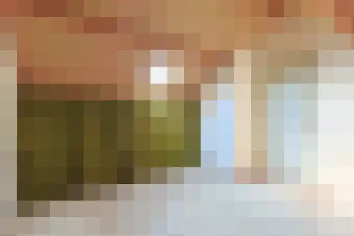 Baljuwstraat 30 Ter Aar thumbnail 28