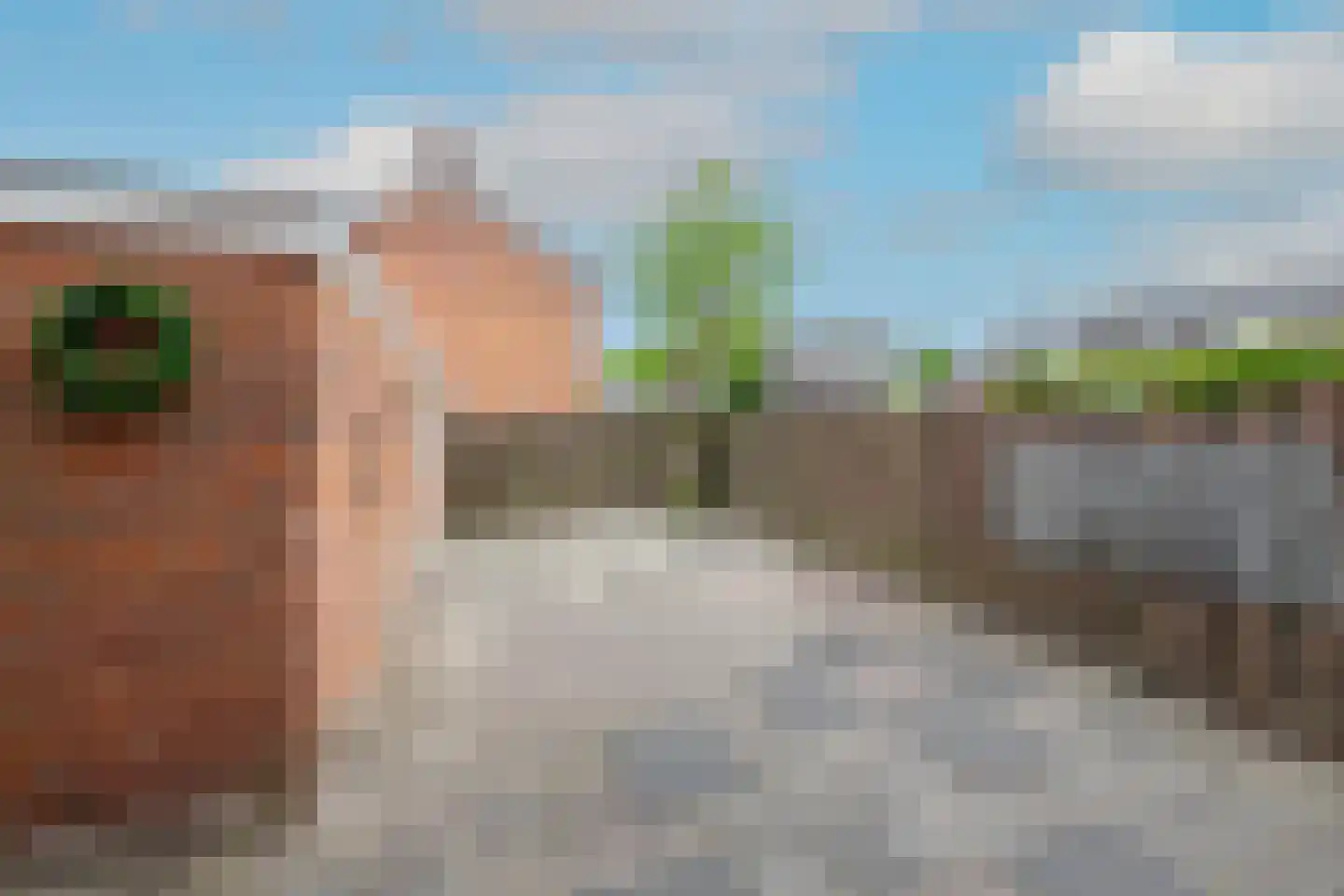 Baljuwstraat 34 Medemblik thumbnail 6