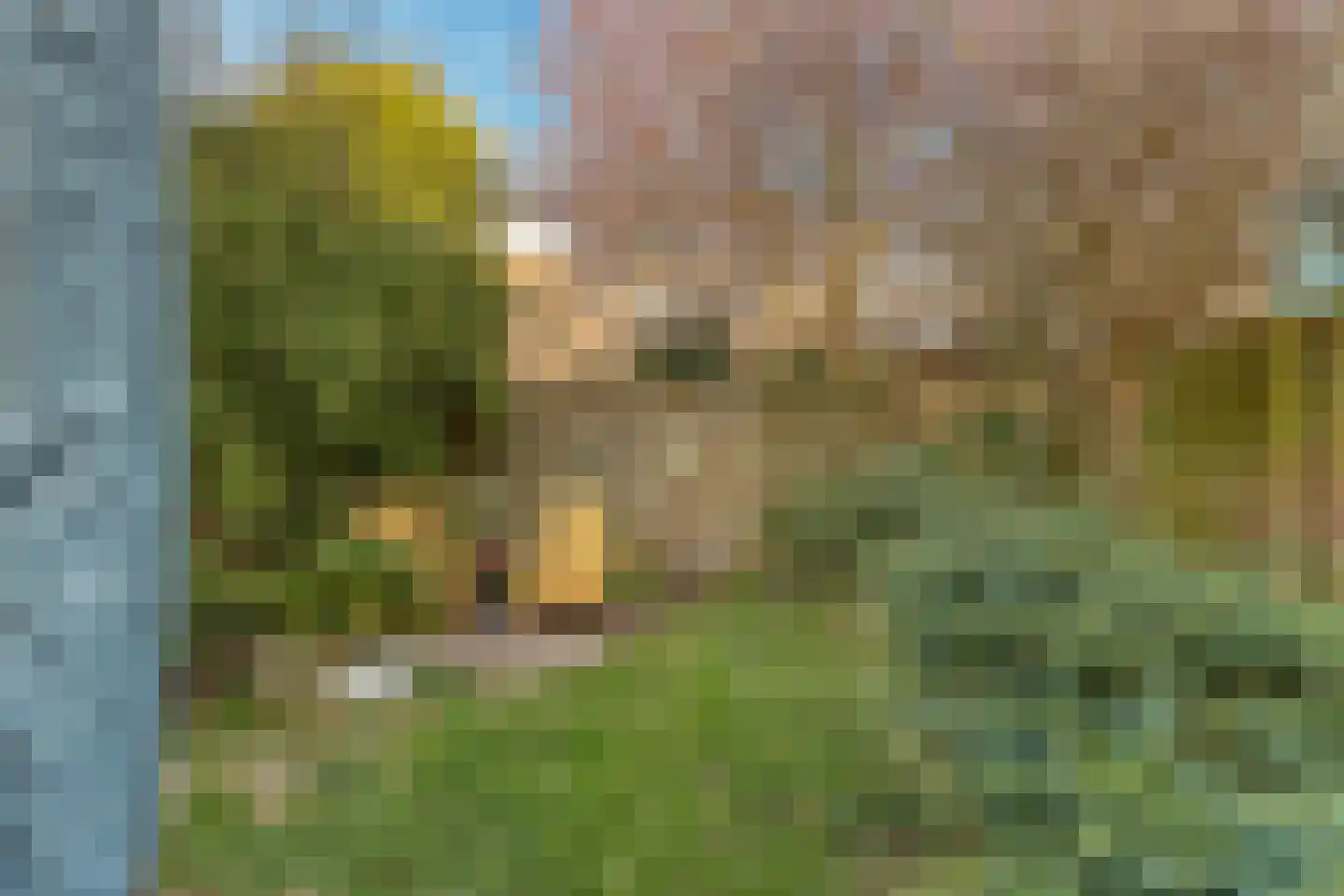 Baljuwstraat 6 Leiderdorp thumbnail 11
