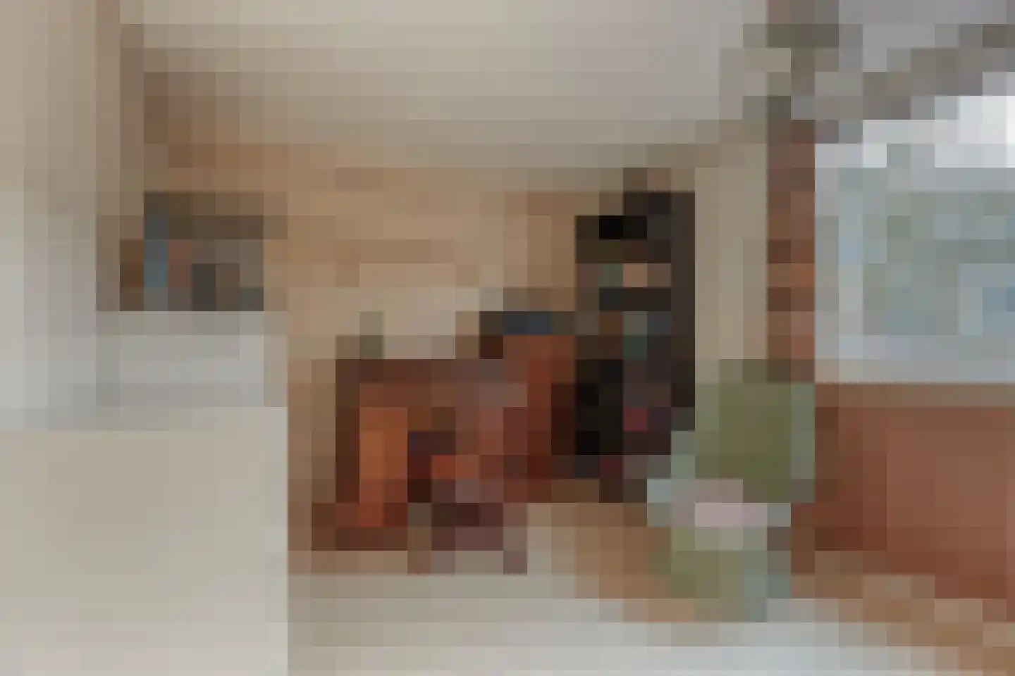 Baljuwstraat 6 Leiderdorp thumbnail 21