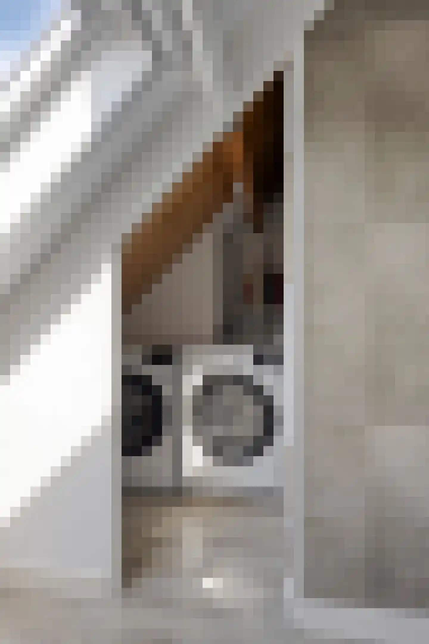 Baljuwstraat 66 Oss thumbnail 17