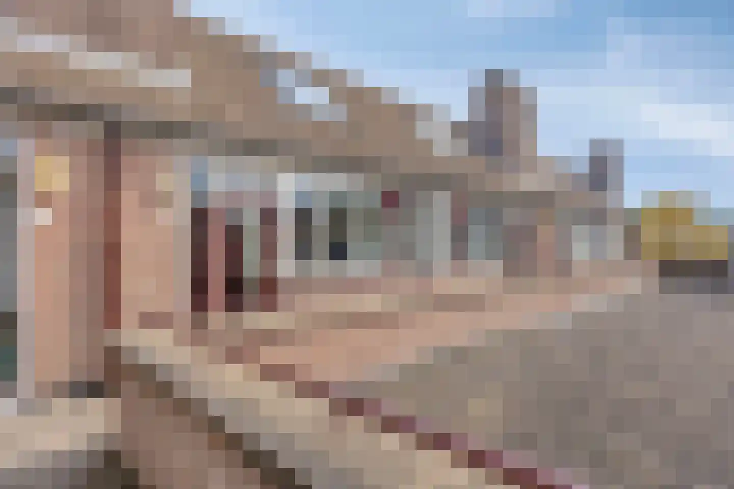 Baljuwstraat 66 Oss thumbnail 18